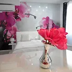 Apartment Palladium Center Makarska