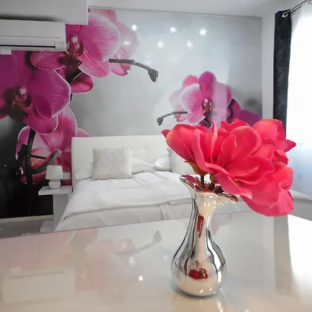 Appartement Palladium Center Makarska